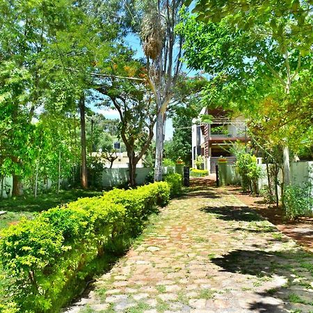 Kozee Kaves Hotel Yelagiri Bagian luar foto