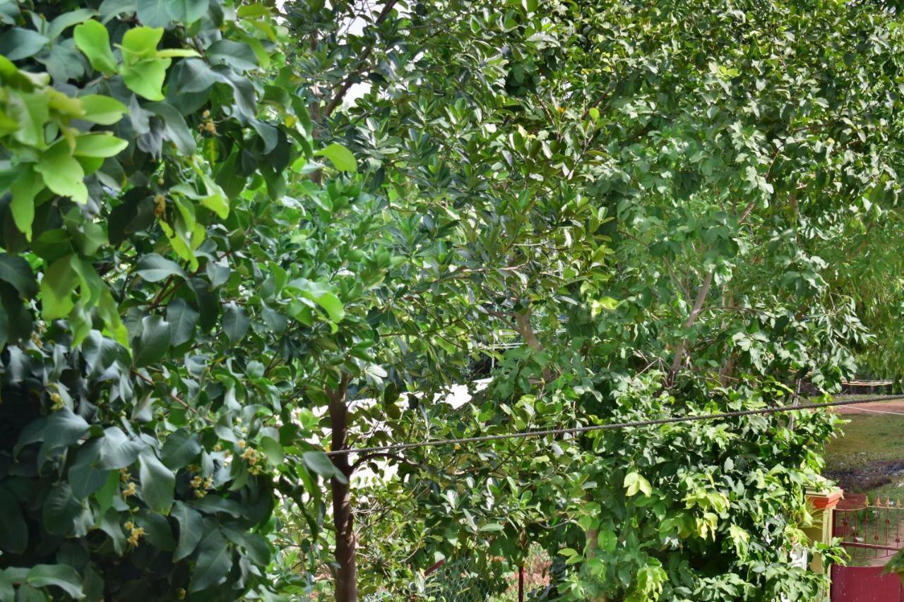 Kozee Kaves Hotel Yelagiri Bagian luar foto