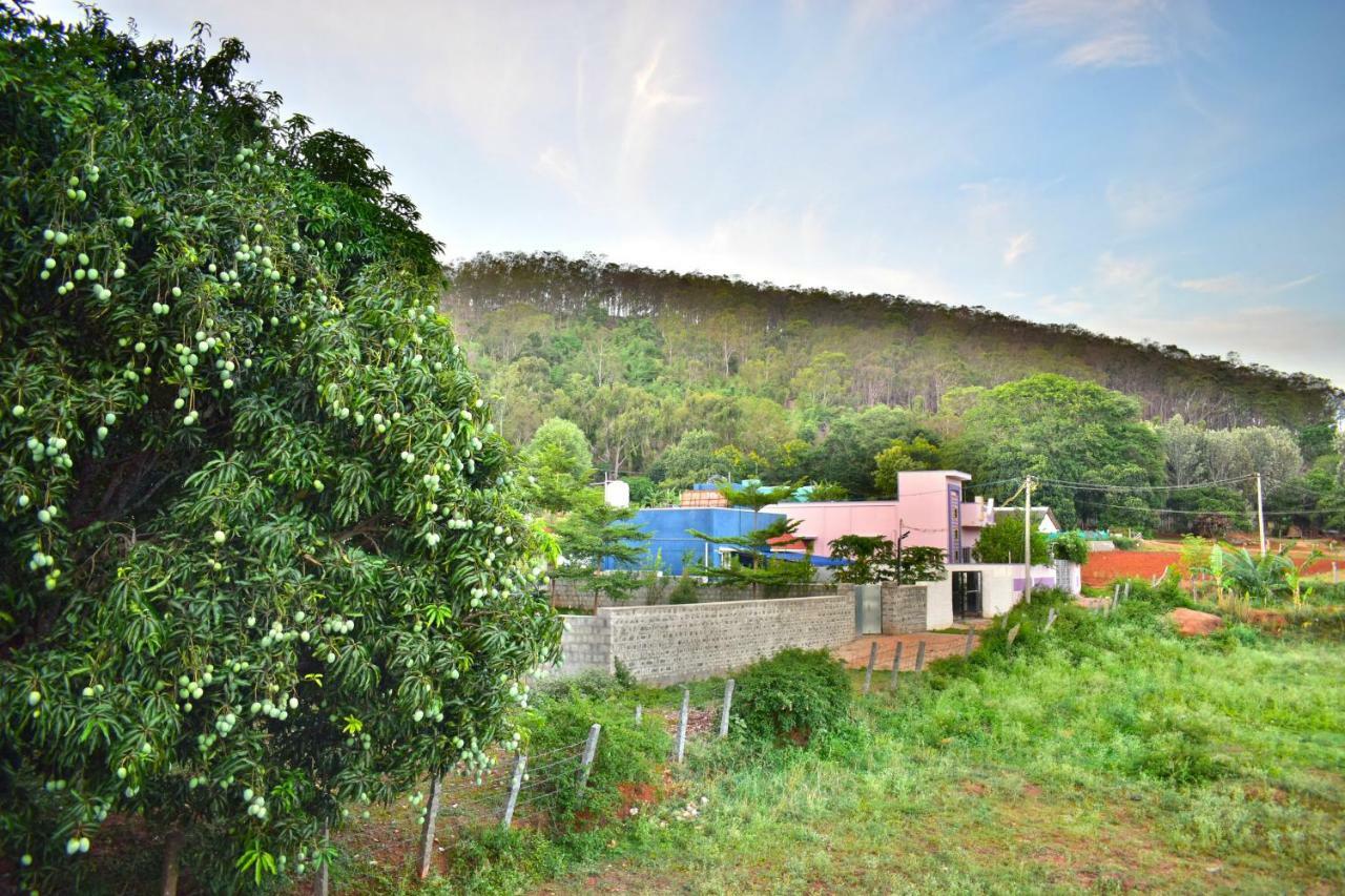 Kozee Kaves Hotel Yelagiri Bagian luar foto